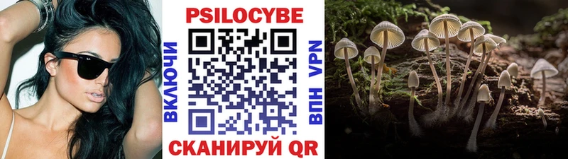 omg   Малмыж  Галлюциногенные грибы GOLDEN TEACHER 